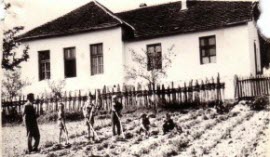 Стара школа у Дучићу
